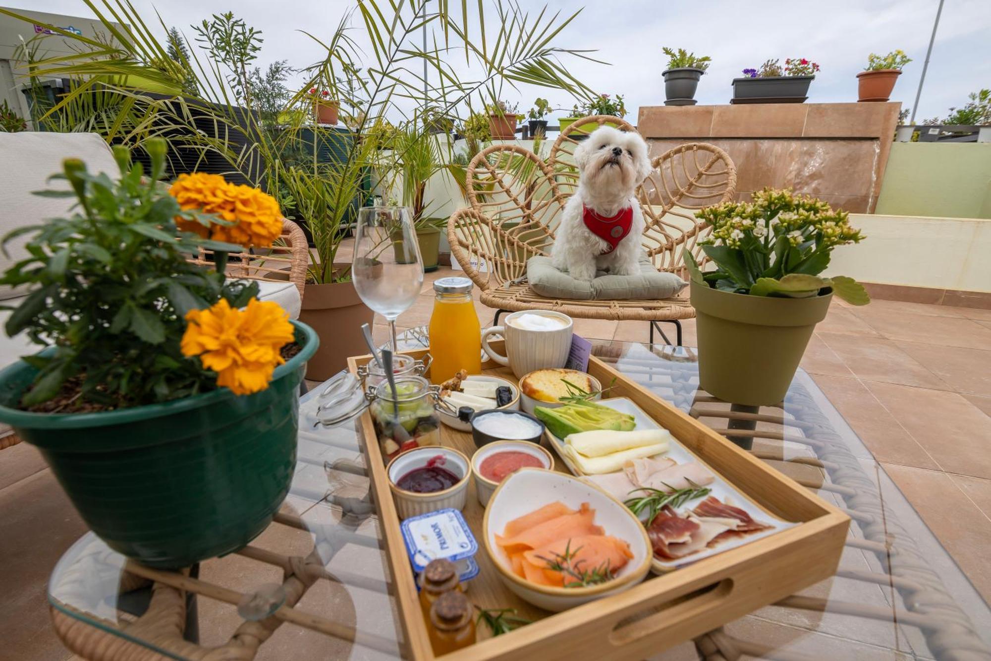 Growersgo Boutique Hostel Huelva Exteriér fotografie